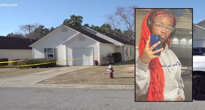 Teens 'bludgeoned, stabbed and burned' 13-year-old: Cops