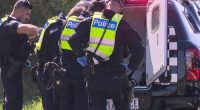 Six teenagers who allegedly stole a car were apprehended by shocked witnesses following a dramatic highway crash in Melbourne.