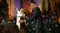'The Bachelor' Grant gives out his first impression rose and it comes with a twist on night one