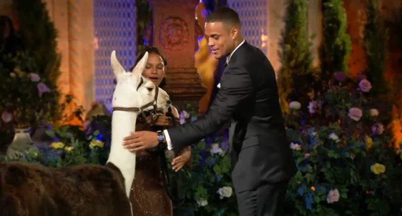 'The Bachelor' Grant gives out his first impression rose and it comes with a twist on night one