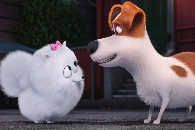 THE SECRET LIFE OF PETS, from left: Gidget (voice: Jenny Slate), Max (voice: Louis C.K.), 2016. ©