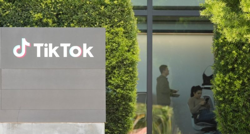 The rise - and potential fall - of TikTok in the US