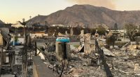 The true story behind the VW bus that survived the Palisades fire