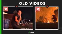 These two animal rescue videos are not from Palisades wildfire