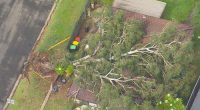 Thousands of homes across Greater Sydney remain without power.