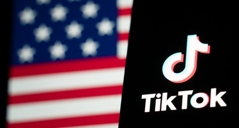 TikTok goes dark in the U.S. as ban takes effect