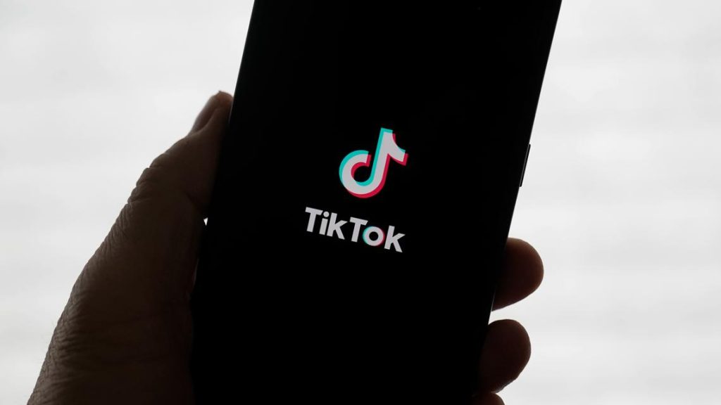 TikTok sale proposal: Perplexity AI bid could give government 50% stake