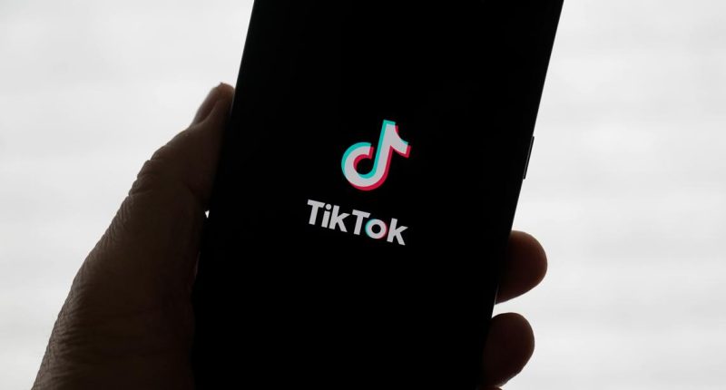 TikTok sale proposal: Perplexity AI bid could give government 50% stake