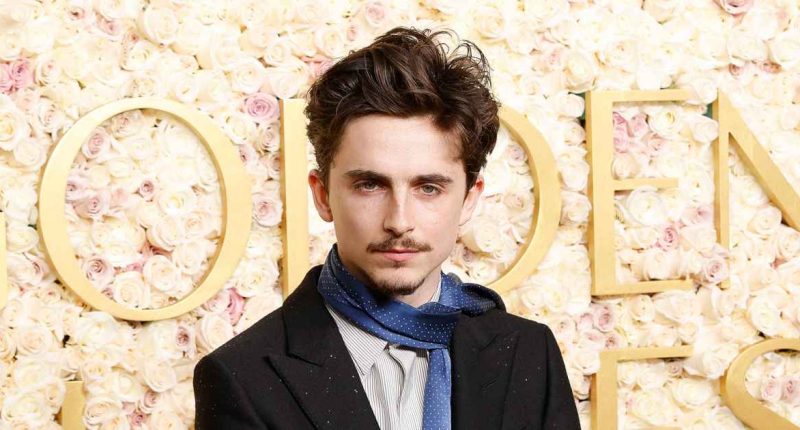 Timothee Chalamet Reveals He Gained 20 Lbs to Play Bob Dylan