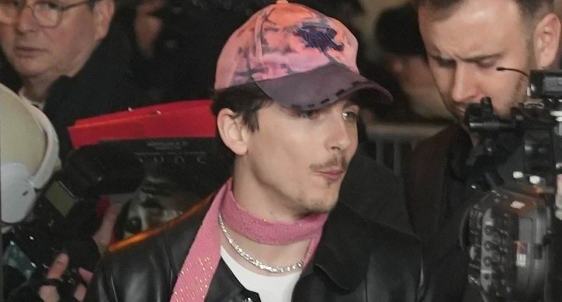 Timothée Chalamet and Kylie Jenner REUNITE in Paris for getaway