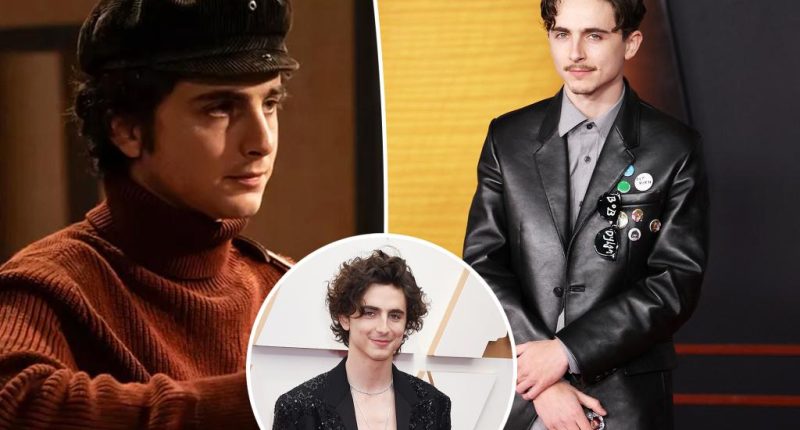 Timothée Chalamet gained 20 pounds to play Bob Dylan in ‘A Complete Unknown’
