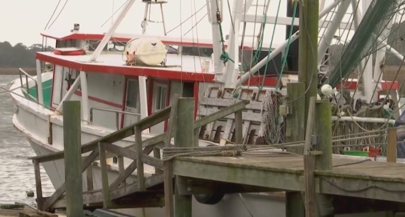 Tough economic season for Lowcountry shrimpers, who say they are already struggling
