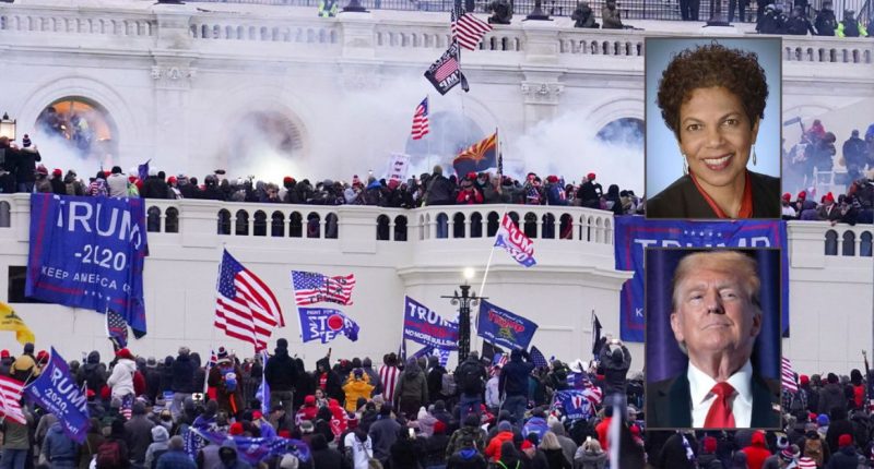 Trump Jan. 6 judge hammers pardon of all Capitol rioters