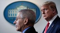 Trump ends federal security detail for Dr. Anthony Fauci