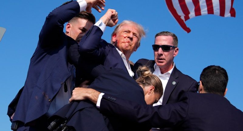 Trump taps Sean Curran as next Secret Service director