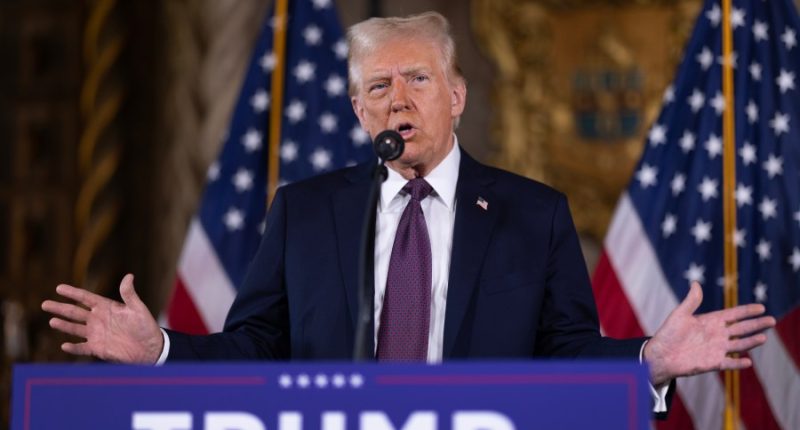 Trump vows to shed light on mystery drones when president