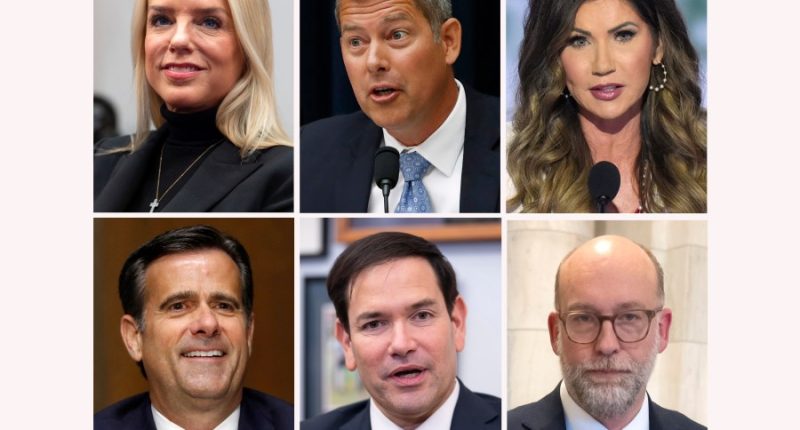 Trump's Cabinet picks are set for Senate hearings. Here's the schedule
