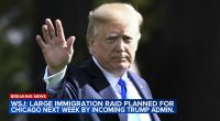 Trump's Chicago deportation plan: DHS officials confirm city will be target area for incoming admin.; mass deportation fears grow