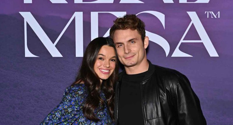VPR’s Ally Lewber Hints at 'New Beginnings' After James Kennedy’s Arrest