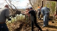 Volunteers help restore David Crockett State Park after Helene
