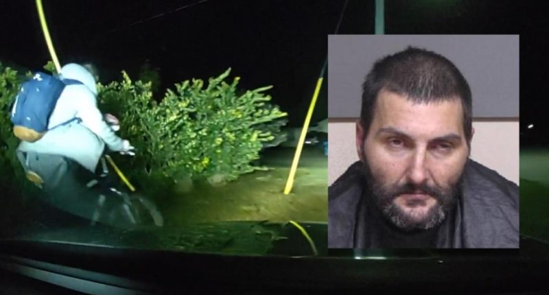 WATCH: Florida deputy hits armed man with patrol car during pursuit