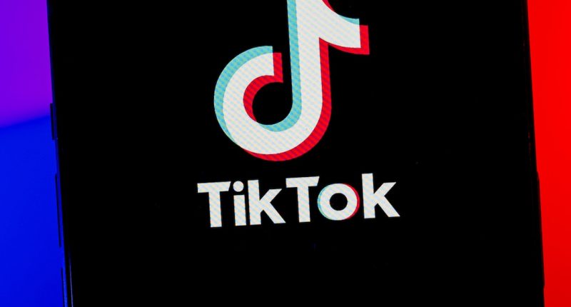 What a TikTok Ban Really Means for Your Social Media Scrolling