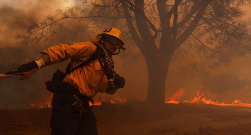 What is wildfire containment, and how does it work?