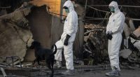 What we know about the people who died in Eaton, Palisades fires