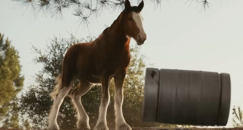 What's The Song In Budweiser's 2025 Super Bowl Commercial?