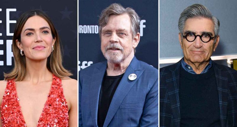 Which Stars Have Been Affected by the Los Angeles Fires?