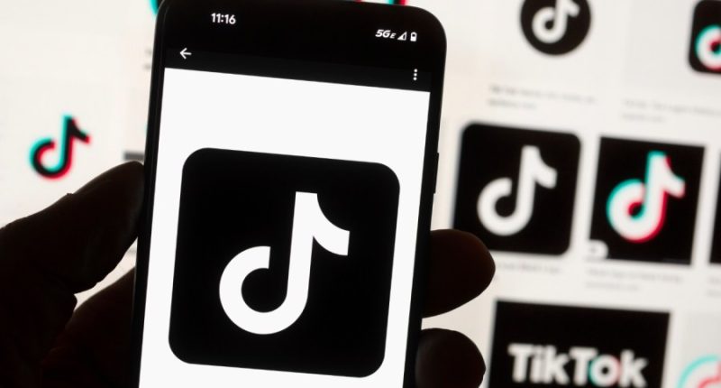 White House says TikTok ban will fall to Trump administration