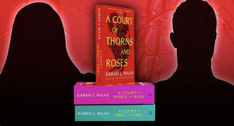 Who Does Feyre End Up With In A Court Of Thorns And Roses?