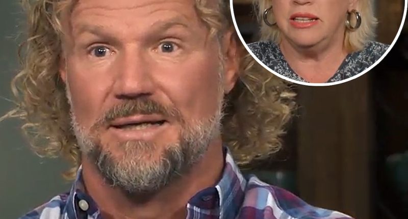 Why Sister Wives' Janelle Brown Says She Was "Too Trusting" of Ex Kody