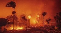 Why the LA wildfires could make your insurance more expensive