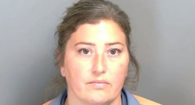 Woman beat boyfriend's son to death out of jealousy: Cops