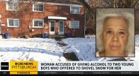 Woman got boys shoveling snow drunk, 'touched them': Police