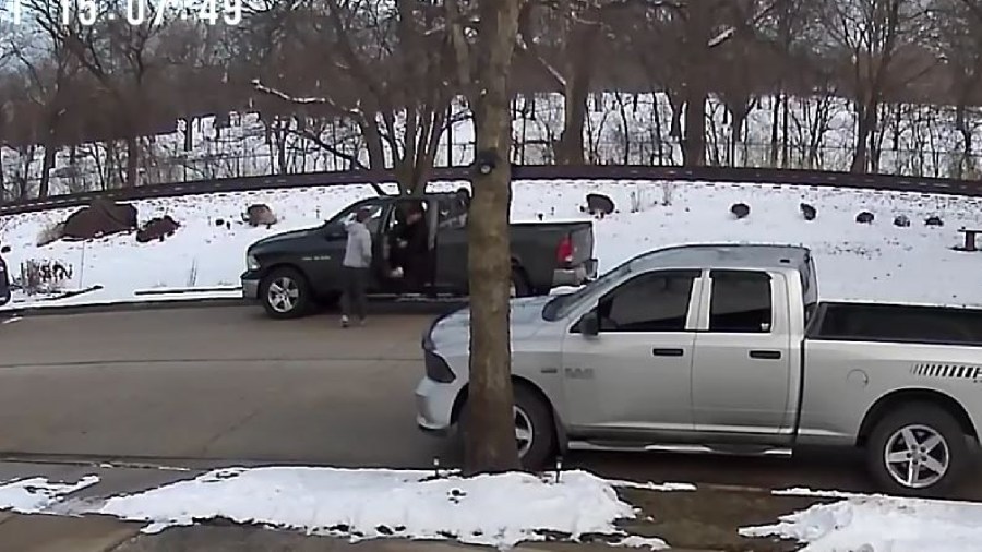 Young coyote stomped to death in Chicago area: 'Jeffrey Dahmer type stuff'
