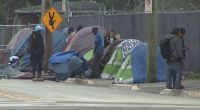 ‘The most vulnerable:’ Volunteers conduct annual homeless Count in Central Florida