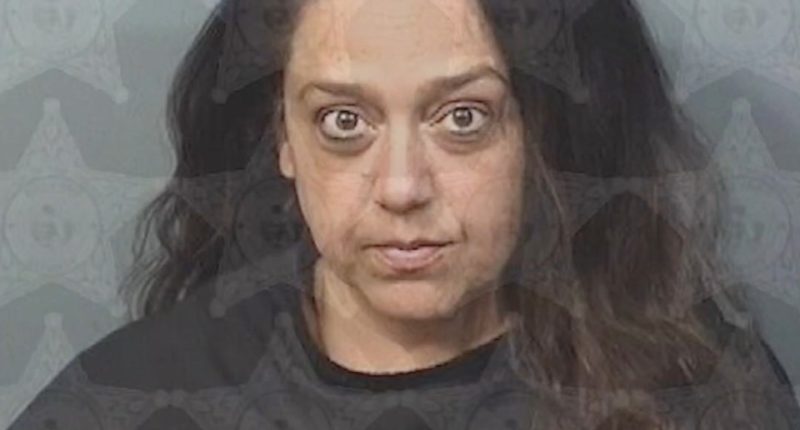 Mugshot of Elizabeth Hill-Brodigan.