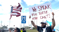 'No human being is illegal,' protestors stand against Florida immigration laws
