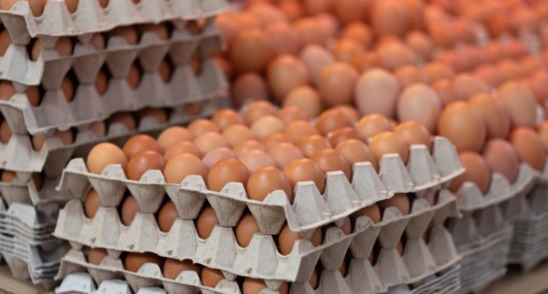 100,000 eggs stolen from Pennsylvania distributor’s truck, police say