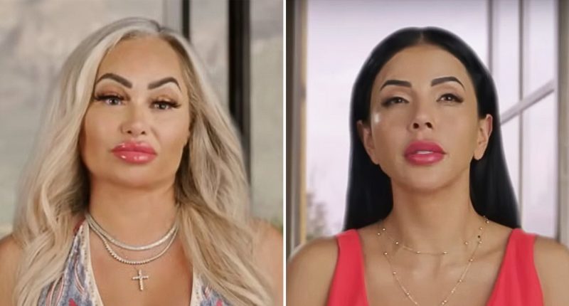 90 Day: The Last Resort Recap: Season 2, Episode 12