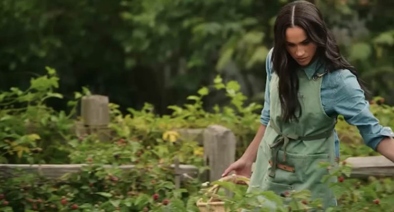 ALISON BOSHOFF reveals latest bizarre twist in Meghan's new brand