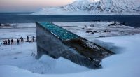 The Svalbard Global Seed Vault in a snowstorm.