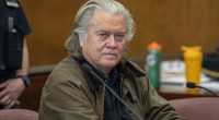 Bannon calls Elon a 'parasitic illegal immigrant' amid MAGA battle