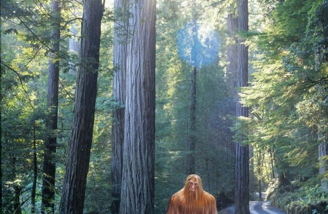 Composite image of Bigfoot on a forest road.