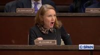 Ms. Stansbury testifying at a government efficiency hearing.