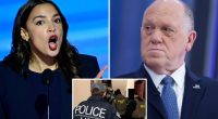 Border czar Tom Homan asks DOJ to look into whether AOC violated law with ICE-evading webinar: 'Disturbing'