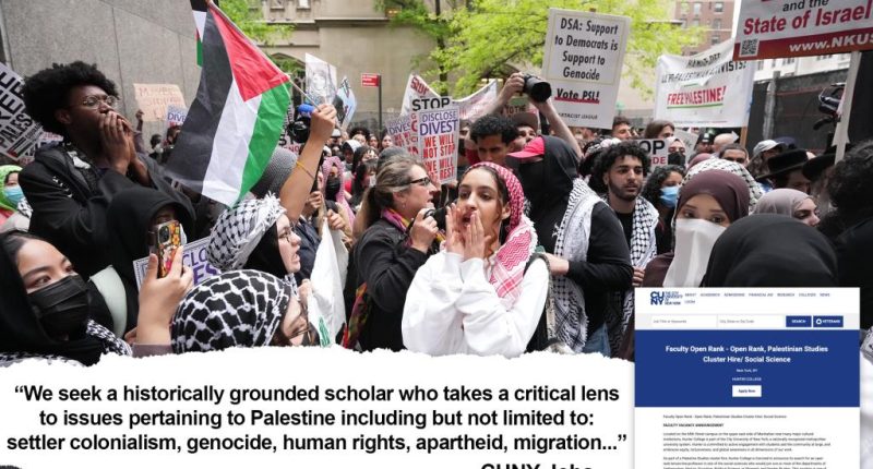 CUNY's Hunter College promotes 'Palestine' course targeting Jews over 'genocide,' activists fume