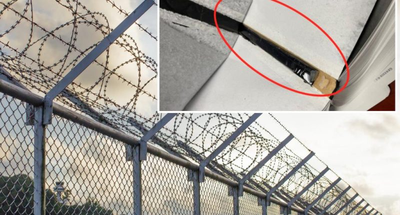 California woman with heroin-filled Bibles for prison inmates sentenced to 7 years